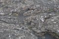 IMG_6544.JPG
