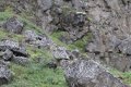IMG_6558.JPG