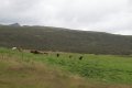 IMG_6582.JPG