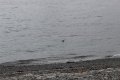 IMG_6647.JPG