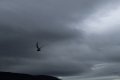 IMG_6651.JPG