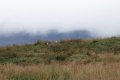 IMG_6666.JPG