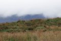 IMG_6669.JPG