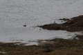 IMG_6679.JPG
