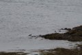 IMG_6680.JPG