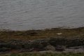 IMG_6681.JPG