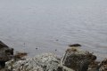 IMG_6707.JPG