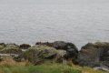 IMG_6715.JPG