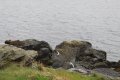 IMG_6718.JPG