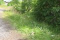 IMG_6753.JPG