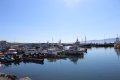 IMG_6851.JPG