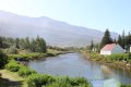 IMG_6908.JPG