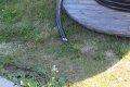 IMG_6919.JPG