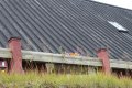 IMG_6975.JPG