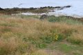 IMG_7020.JPG