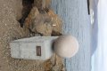 IMG_7041.JPG