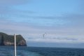 IMG_7105.JPG