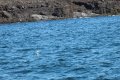 IMG_7109.JPG