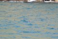 IMG_7115.JPG