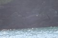 IMG_7119.JPG