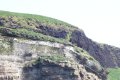 IMG_7127.JPG