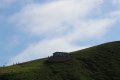 IMG_7138.JPG