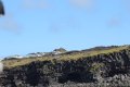 IMG_7142.JPG
