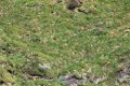 IMG_7148.JPG