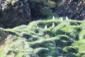 IMG_7159.JPG