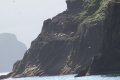 IMG_7168.JPG