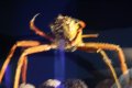 IMG_7204.JPG