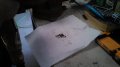 IMG_20150620_165636_739.jpg